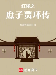红楼之庶子贾环传
